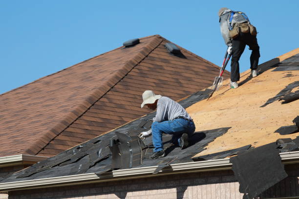 Best Solar Panel Roofing Installation  in Reed Creek, GA